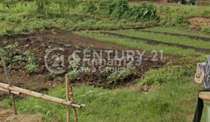 Dijual Tanah Lokasi Premium di Pamulang Tangerang Selatan