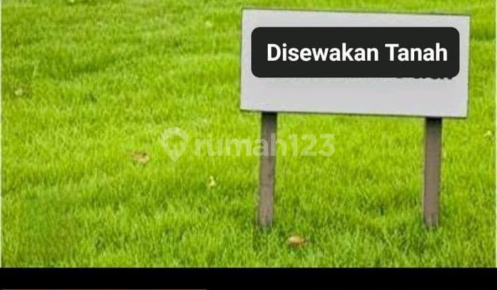 For Rent: Woodland Plot Wp 19 Citraland Surabaya Strategic Location: - Suitable for Car Parking, Ideal for Gardening Hobby /Hydroponics /Fruit Trees