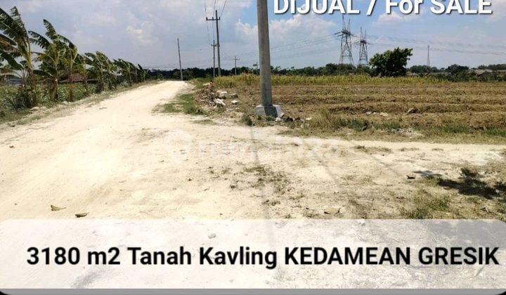 Murah Dijual 3180 M2 Tanah Slempit - Kedamean Gresik Jawa Timur - Zona Kuning Cocok Buat Gudang, Workshop, Perumahan