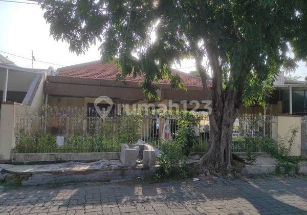 Rumah Lama Hitung Tanah Dharmahusada Dekat Superindo Hadap Timur
