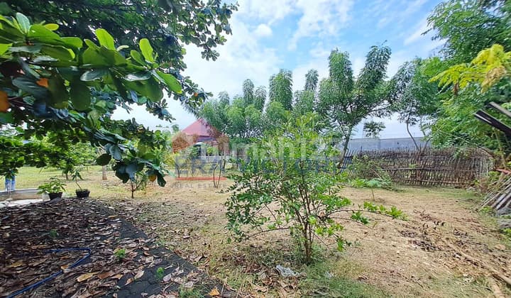 Tanah jual, pinggir jalan besar, mastrip, tengah kota