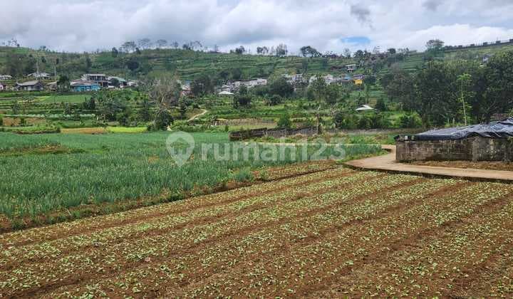 Kavling 1.55 Ha di Cipanas, Jawa Barat