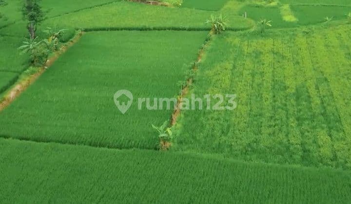 1.5 Million per Meter, Land Area 14 Hectares, Land in Cikande, Tangerang