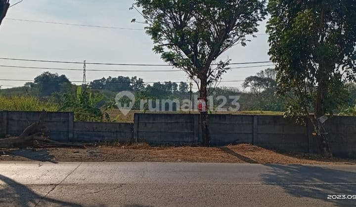 Tanah di Karawang timur klari 16ha SHM super murah strategis