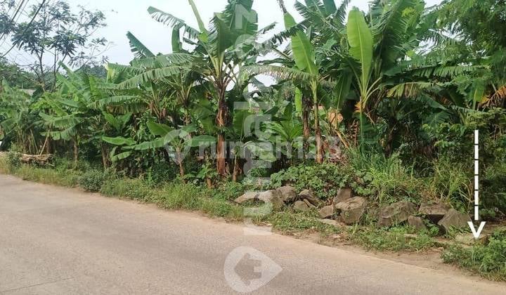 Tanah Komersil di Karawang Timur Klari Super Murah 12Ha