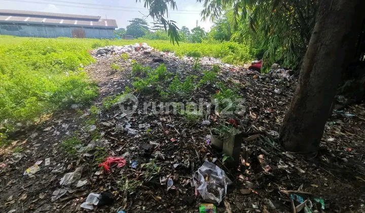 Kavling Tanah Sunter Siap Pakai Lokasi Strategis Cocok Utk Resto Kavling Tanah Sunter Siap Pakai Lokasi Strategis Cocok Utk Resto