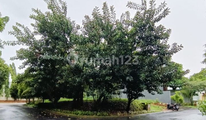 Tanah Dijual Royal Orchard Kelapa Gading - 534 M2