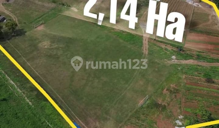 Tanah Dijual Setu Bekasi - Cocok untuk Cluster Eksklusif