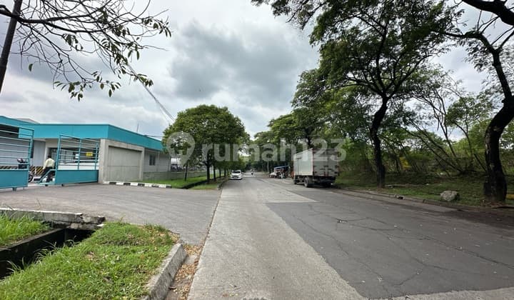 Rare Silicon Delta Industrial Commercial Land Still PLN