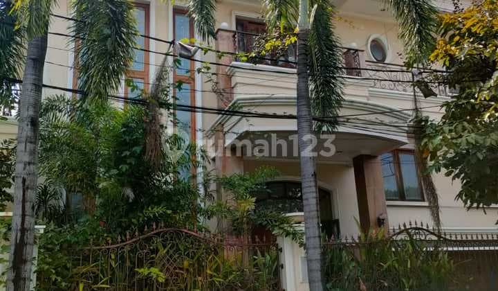 Ivory Kirana Rare Good Corner House