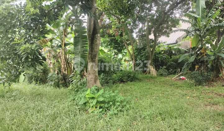 Tanah Luas Bebas Banjir Dekat Ke Tol Jatiwarna Bekasi