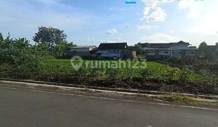 Tanah Pekarangan Strategis Dekat Pasar Bekonang Di Mojolaban, Solo