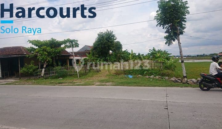 Tanah sawah zona kuning pinggir jalan raya provinsi