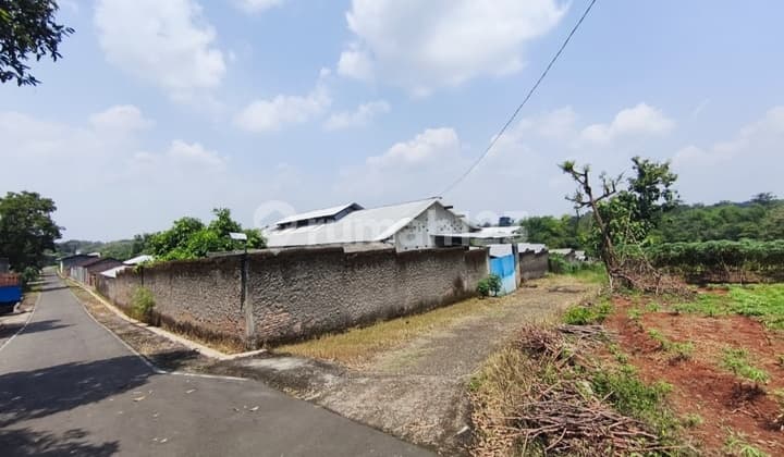 Tanah Industri + Usaha Ayam Petelur Aktif di Sukoharjo