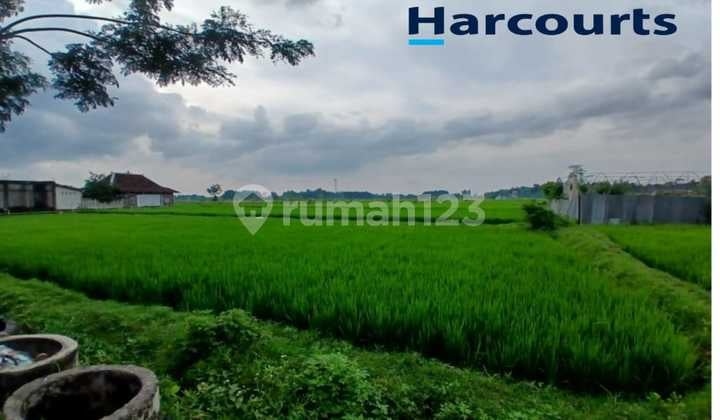 Tanah Zona Merah/Industri Strategis dengan Kontur Tanah Datar di Jalan Raya Solo Purwodadi di Sumberlawang Sragen