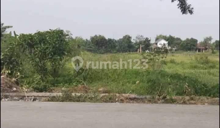 Red Zone Land for Industry on Wonosari Pakis Main Road, Klaten