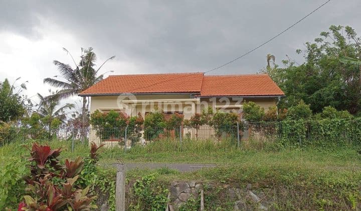 Rumah Baru Bagus Dengan Tanah Luas