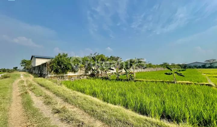 Tanah Siap Bangun Kawasan Industri Akses Truk Fuso