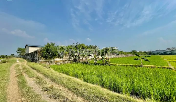 Tanah Siap Bangun Kawasan Industri Akses Truk Fuso