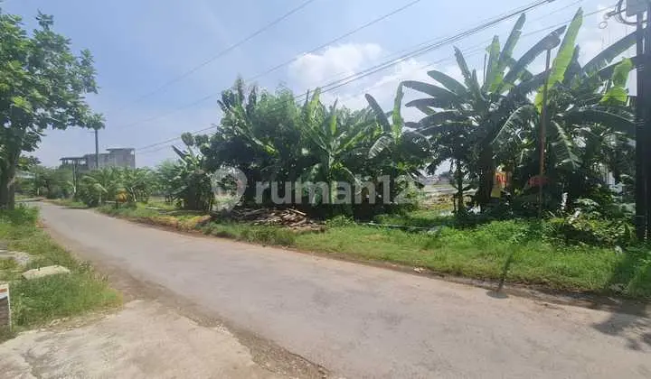 Tanah Strategis Siap Bangun Perumahan Elite Di Kadilangu Baki Solo Baru