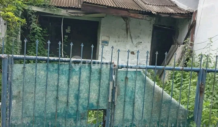 Rumah Butuh Renovasi 5X15 di Kelapa Gading