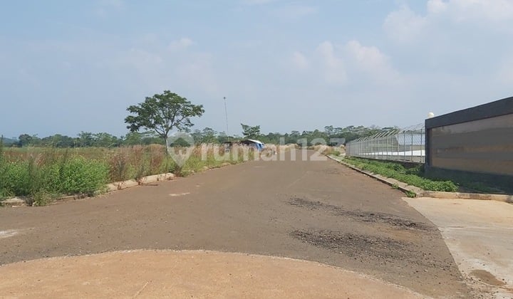 Dijual Cepat Dan Murah 1,5Ha Tanah Industri di Kalijati Subang