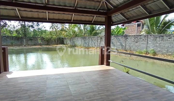 napan / rumah makan pemandangan pedesaan