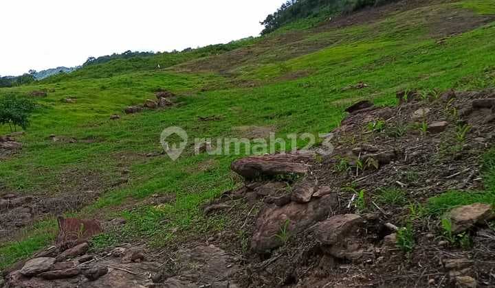 Di Jual Tanah Luas Mengandung Mineral Tambang