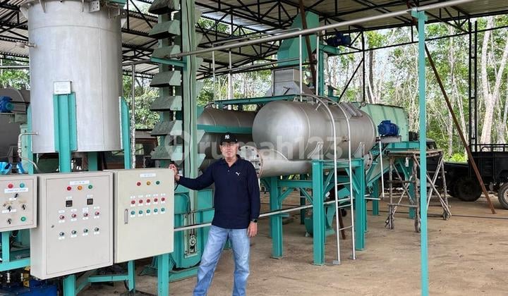 For Sale: Palm Oil Mill and Its Plantation