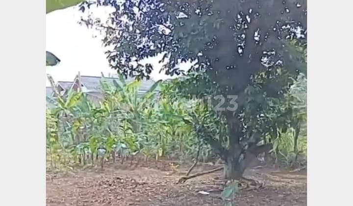 Dijual Kavling SHM Murah Siap Dibangun di Pondok Surya Kencana Bubulak Bogor Barat