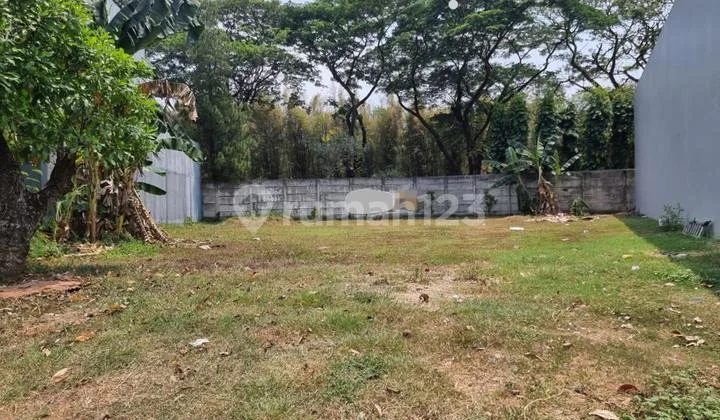 For Sale Alam Sutera Cluster Magnolia Plot 588m2 PPJB Cash Ready For Sale Alam Sutera Cluster Magnolia Plot 588m2 PPJB Cash Ready