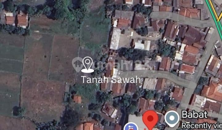 Tanah Sawah Padat Legok