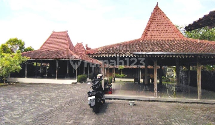 Rumah Joglo Dekat Candi Mendut, Mungkid, Magelang