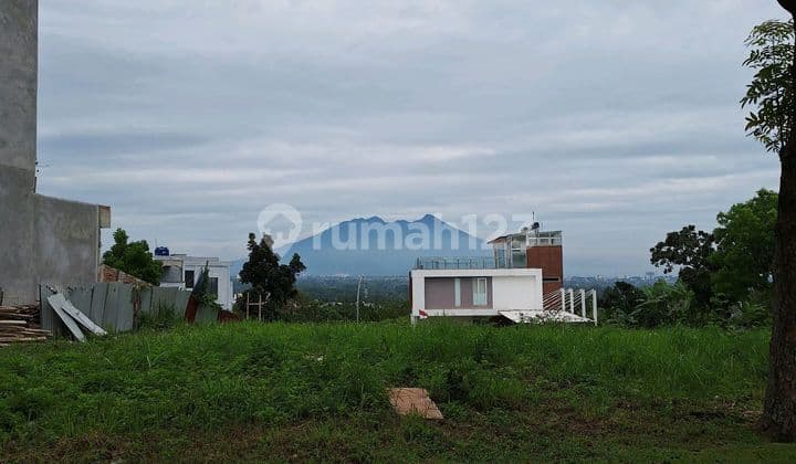 Plot Position At the Hook, Best View