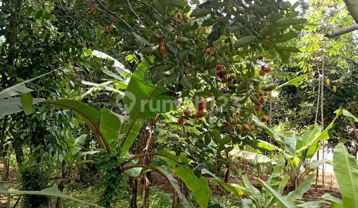 Dijual Tanah Samping Kawasan Industri Mm2100 Cibening Bekasi