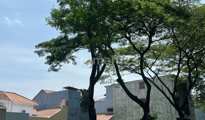 Jual Kavling Gandeng Boulevard Citra Gran Cibubur Luas Total 480 Mtr Bisa Beli Satu Kavling