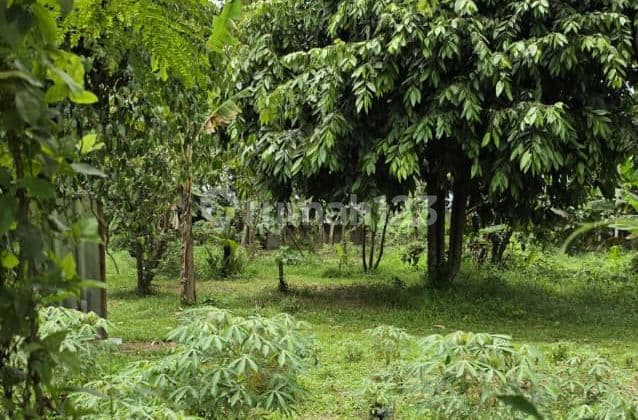 Dijual Tanah Parung Bogor Strategis