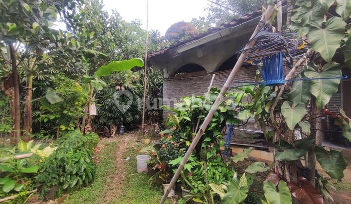 Jual Cepat Tanah Dan Bangunan Luas 1772 Mtr Siap Huni Strategis