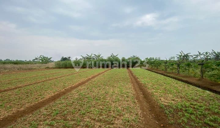 Dijual Tanah Di Kampung Bojong Kemang Bogor, Bojong 9350 M² Shm - Sertifikat Hak Milik Dekat Kampus Ipb Dan Dekat Akses Toll