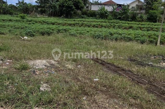 Dijual Tanah Parung Bogor Dekat Pendopo 45 Resort