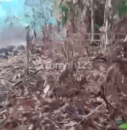 Tanah Sukasari Dekat Jalan Raya Ciruas Petir