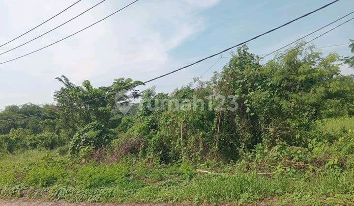 Dijual Tanah Lokasi Desa Cikande Serang