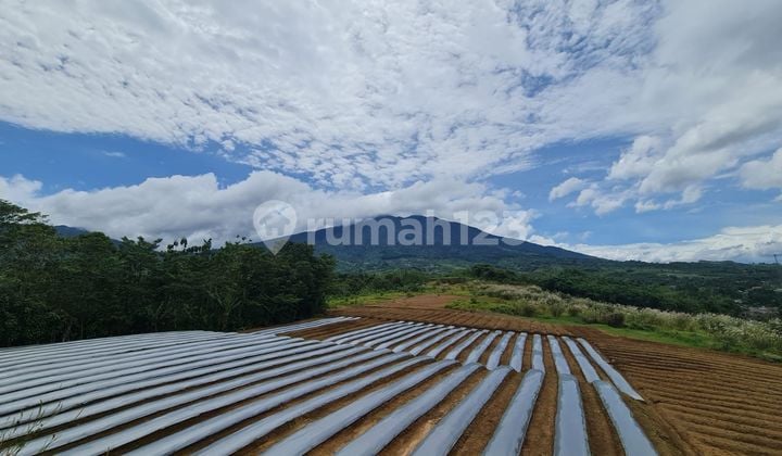 Tanah di Cicurug Sukabumi SHM