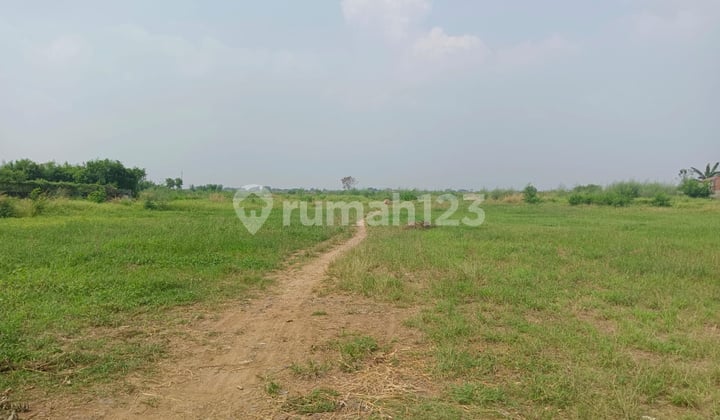 Dijual Murah Kavling Industri 2 .5 Hectare Di Marunda Bekasi