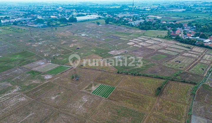 Dijual Murah Lahan Tanah Stategis di Pantura Karawang Timur