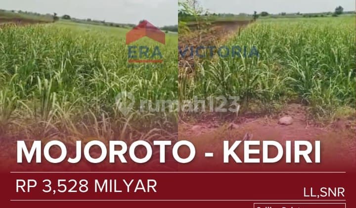 Wide Land Area in Mojoroto, Kediri, Near Tirto Wilis Fishing Pond, Travel Agency, Hardware Store, Suitable for Building a Residence or Gardening.