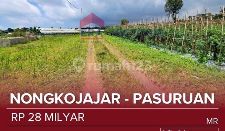 Tanah Jual Sangat Luas Dekat Pasar Nongkojajar, Pananjakan Bromo, Jalur Nongkojajar-jabung Cocok Untuk Teaching Farm, Perkebunan, Peternakan. Terletak Di 1058 Mdpl. Hawa Sejuk Pegunungan