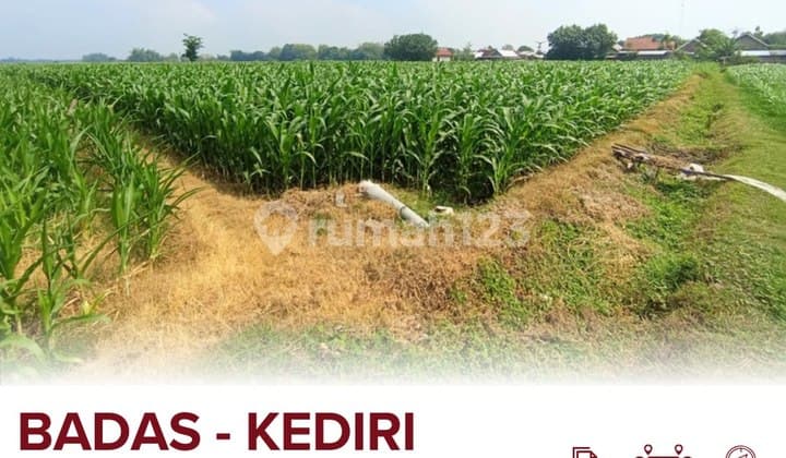 Dijual Tanah Di Badas Kab Kediri 3 Menit Dari Balai Desa Ringinpitu
