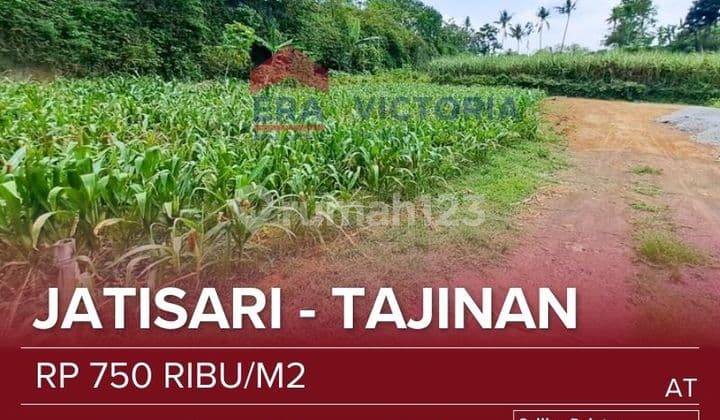 Tanah Dekat Gudang Amunisi, Pondok Pesantren Sirojan Muniro As-salam, Pasar Tajinan, Taman Edukasi, D'embung Park, Kantor Kepala Desa Purwosekar
