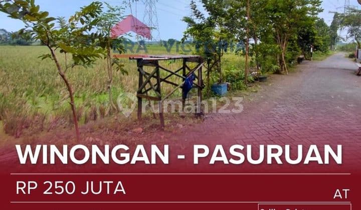 Tanah Jual Pertanian Aktif 5 Menit ke Pasar Winongan, 7 Menit ke Smpn 1 Winongan, Sdn Penataan bisa untuk Investasi